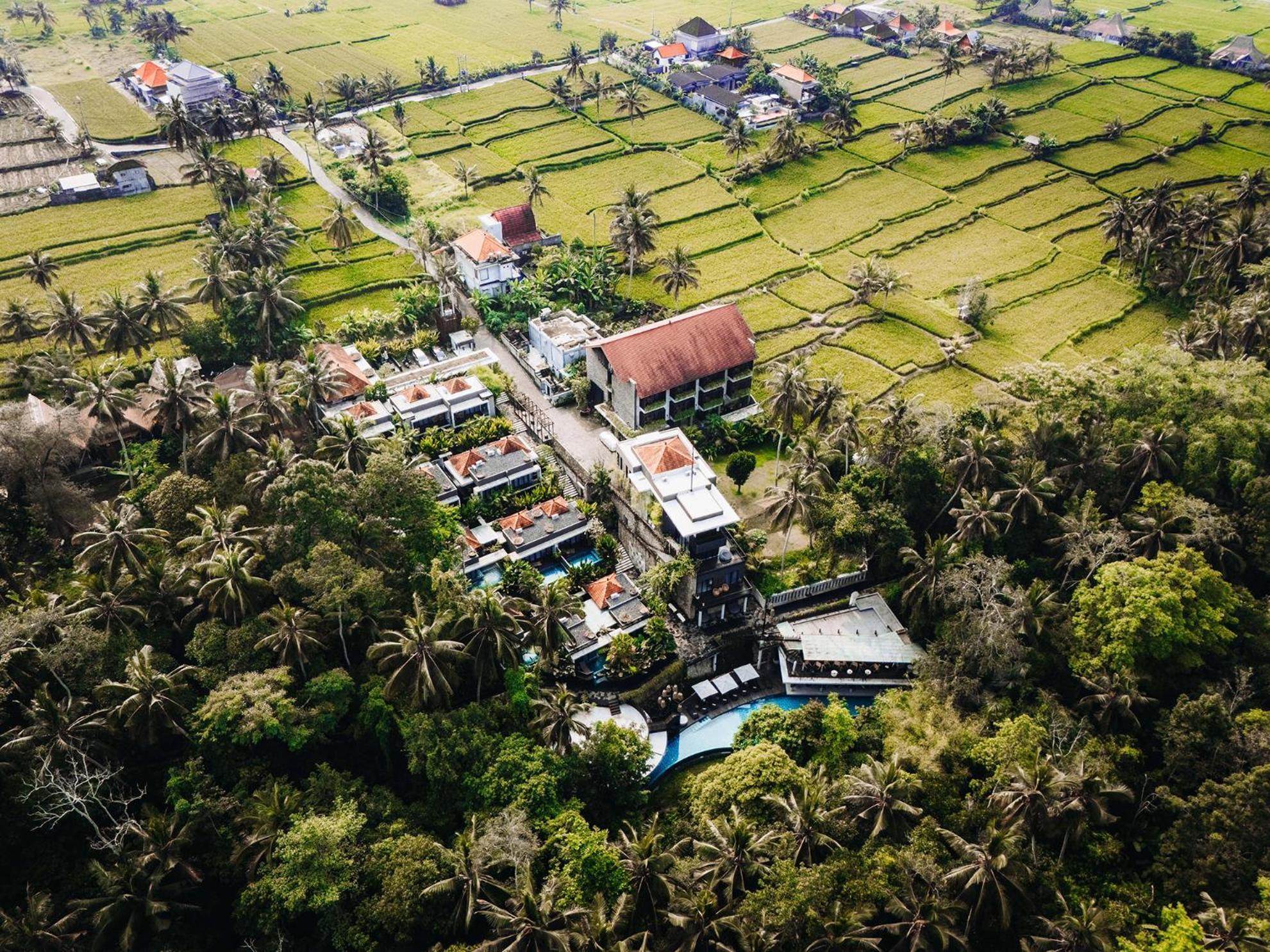 The Ning Resort Ubud Extérieur photo